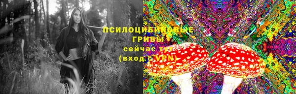 ешки Вязьма